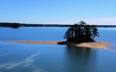 Lake Martin AL