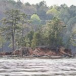 Lake Martin thumbnail