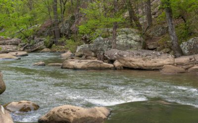 Fishing in Gadsden Alabama