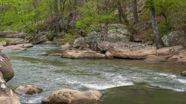 fishing in Gadsden Alabama - Lake in Gadsden Al - Lake in Gadsden Al