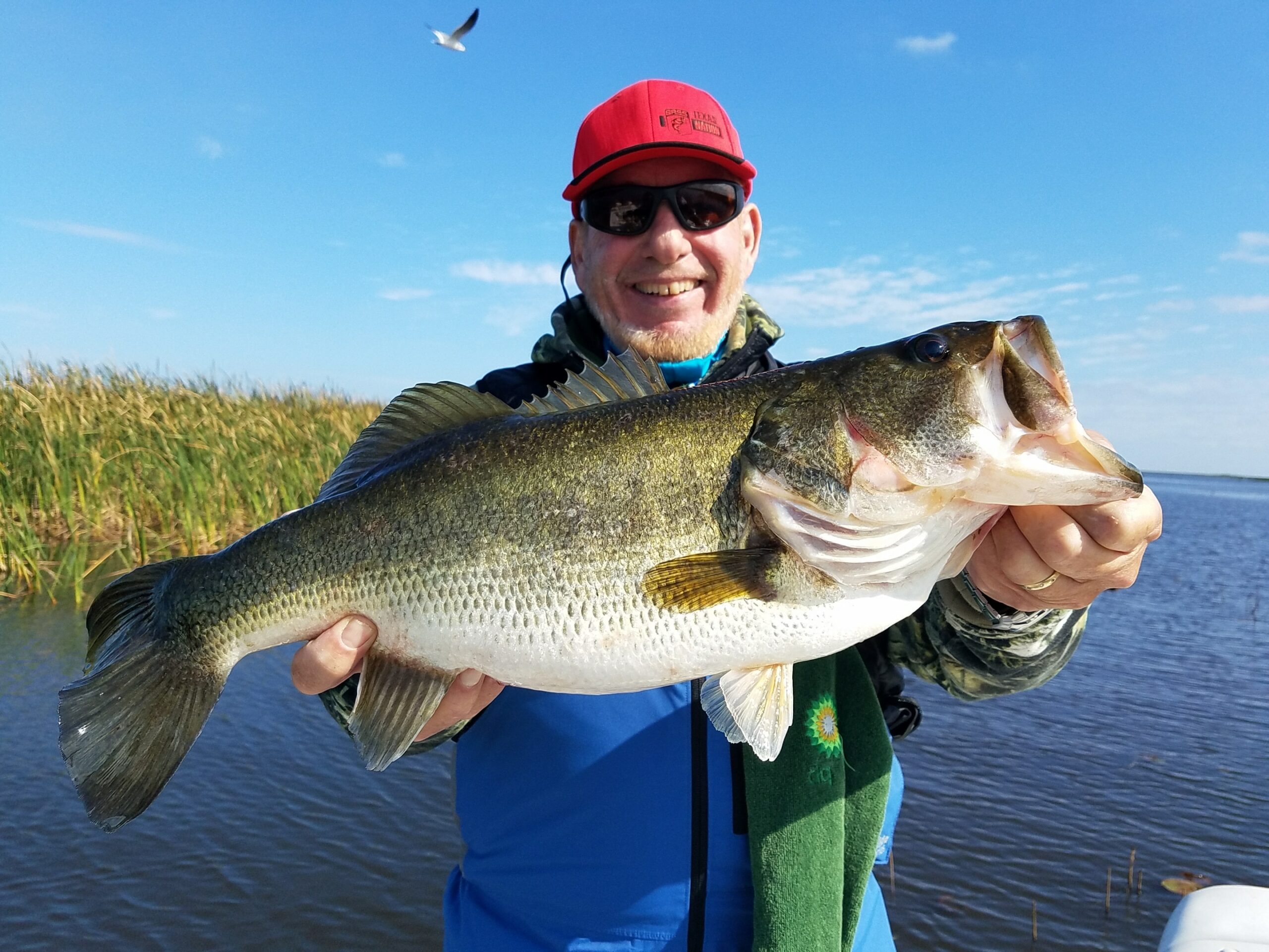Belle Glade Fl Fishing 8 Belle Glade Trophy Bass Fishing