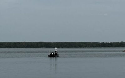Lake Pickwick Bass Fishing: Top Tips for More Catches