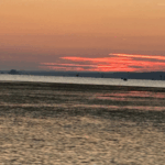 Lake Seminole thumbnail