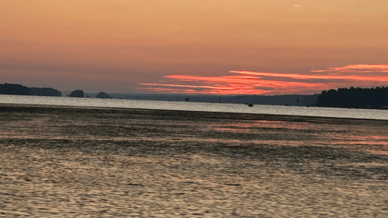 Lake Seminole in Georgia