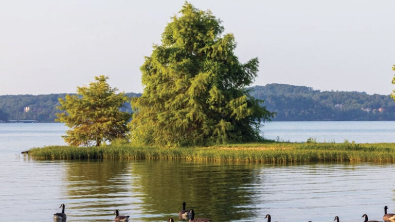 Pickwick Lake Alabama