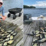 Lake Harding thumbnail