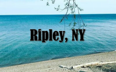 Ripley NY