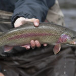 Lake Ontario thumbnail