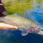 Lake Taneycomo thumbnail