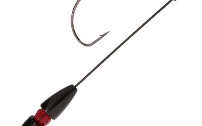 What Is a Tokyo Rig for Bass Fishing?