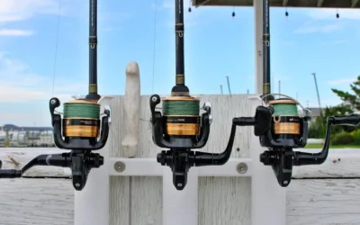 12 Essentials to Bring on a Bass Fishing Charter