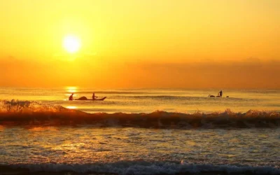 Choosing How to Pick a Fishing Charter Near Daytona: A Guide