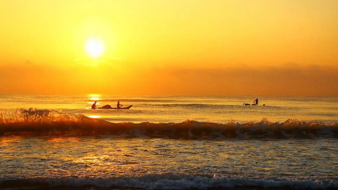 Choosing How to Pick a Fishing Charter Near Daytona: A Guide 1 Sunrise and How to Pick a Fishing Charter Near Daytona