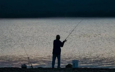Tips for Catching More Bass when Night Spinnerbait Fishing