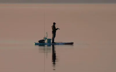 12 Best Spots for Bass Fishing Near Orlando