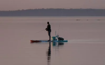 12 Expert Tips for Bass Fishing in Lake Eustis