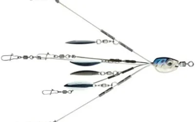 Mastering the Alabama Rig: A Beginner’s Guide to Success