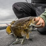 Finger Lakes thumbnail