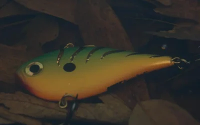 9 Top Lure Colors: Best Picks for Muddy vs Clear Water