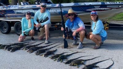 Fort Lauderdale Iguana Hunting FL