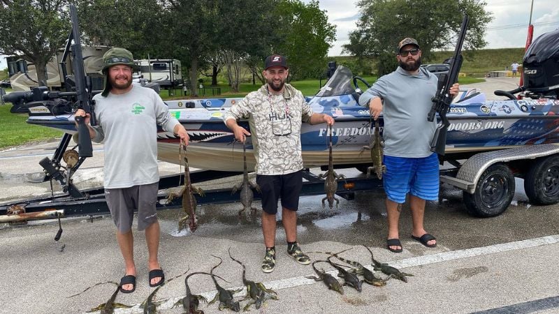 Palm Beach Iguana Hunting FL