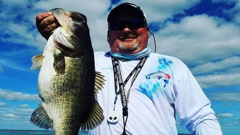 Farm 13 4 stick marsh giant largemouth bas