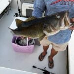 Jamie Cassidy Avatar