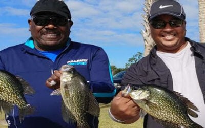 Pontoon Rentals Orlando 27 What Is a Panfish?