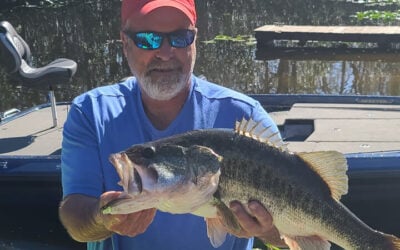 Largemouth & Spotted Bass: The Ultimate Comparison