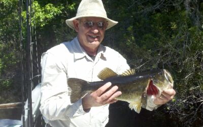 Lake Winder