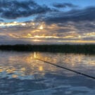 Lake Okeechobee Fishing Guides 663 LT1318 Avatar