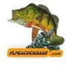 Florida Peacock Bass Fishing Guides Avatar