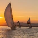 Capt Mike Groshon 496 Sherpa620154 Avatar