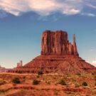 Fishing Guides Near Me 155 Lola C Avatar