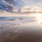 Fishing Guides Near Me 130 Harle J Avatar