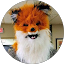 Scott Z Avatar