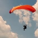 risks D Avatar